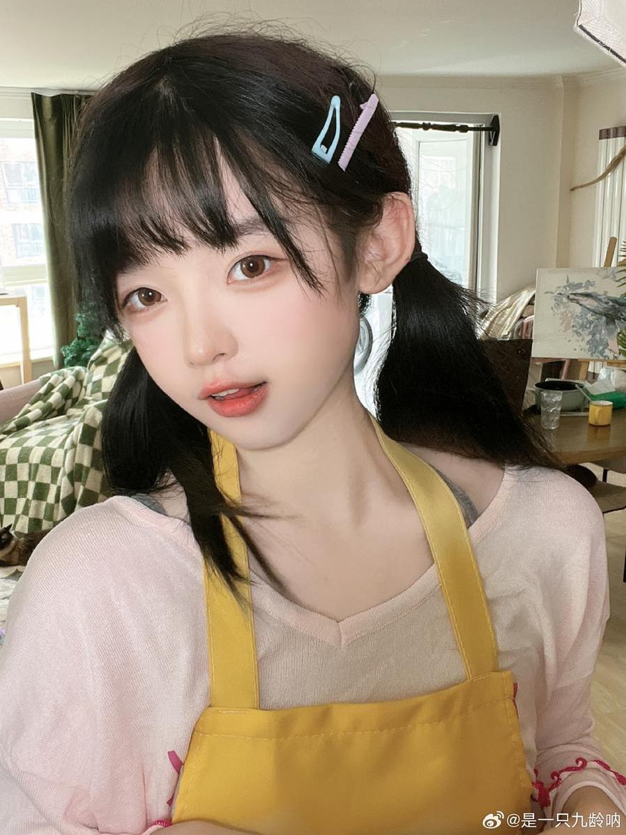 气质不凡的一只九龄高清壁纸完美呈现的图片大集