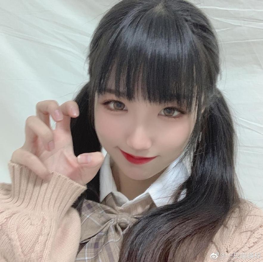 满载惊喜的一只喵喵梓图片大全，尽在你的视线之中