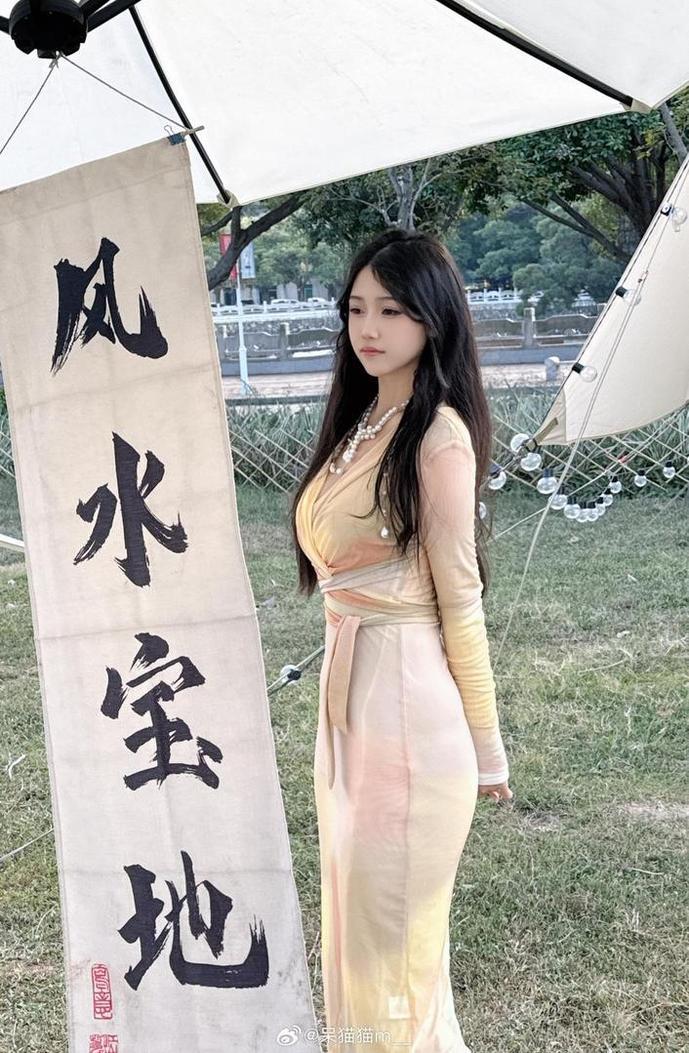 不呆猫cos美图：猫咪的摄影之美