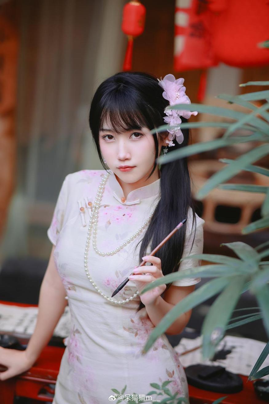 不呆猫资料美图分享：完美图像构图，细节捕捉得恰如其分