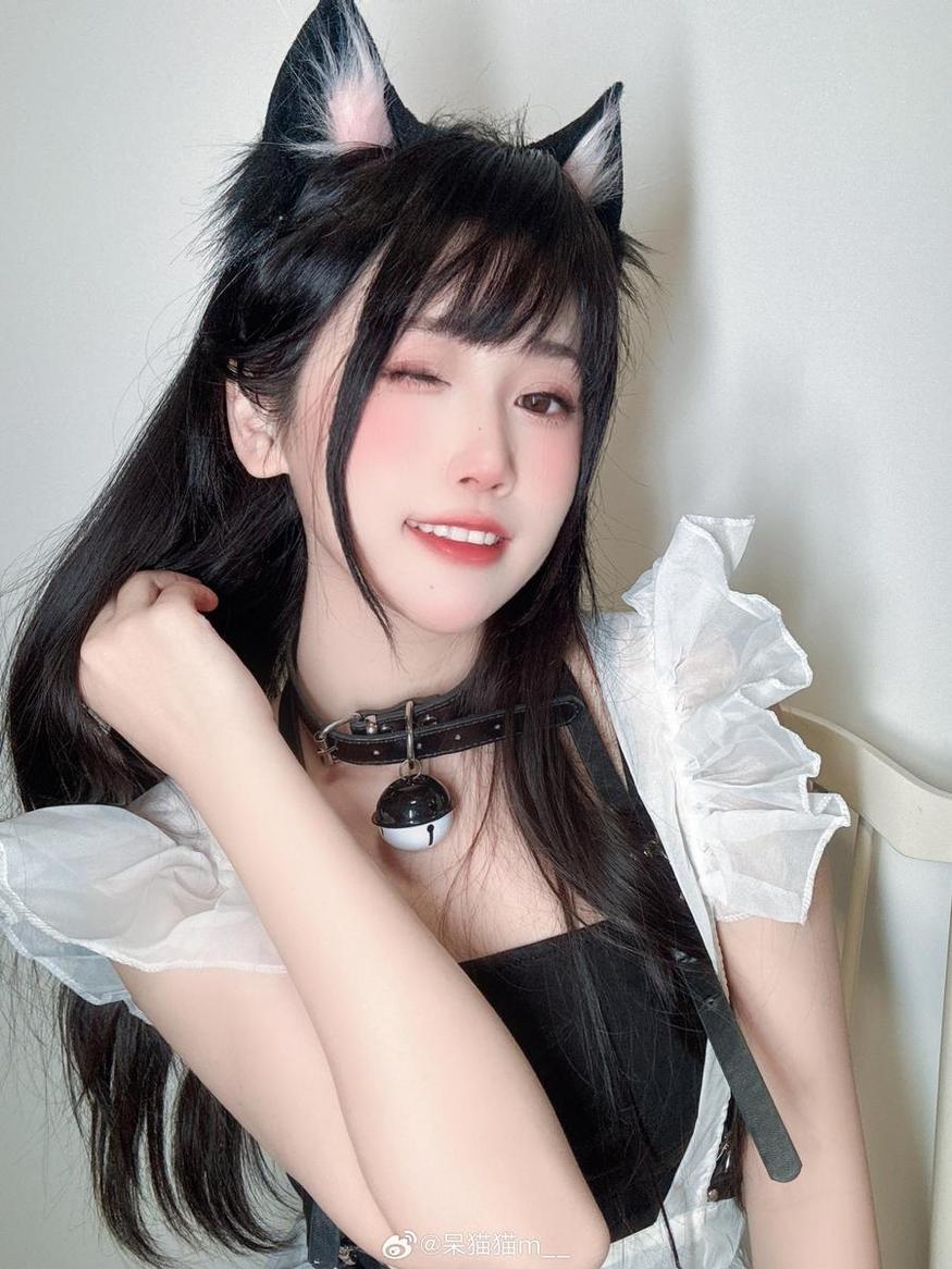 不呆猫女巫的特别图集：极致追求题材创意