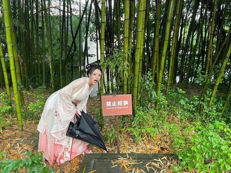 图片分享者必备：秋和柯基免费图集提供完美的摄影样式