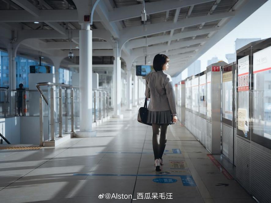 西瓜呆毛汪预设：一组精美作品